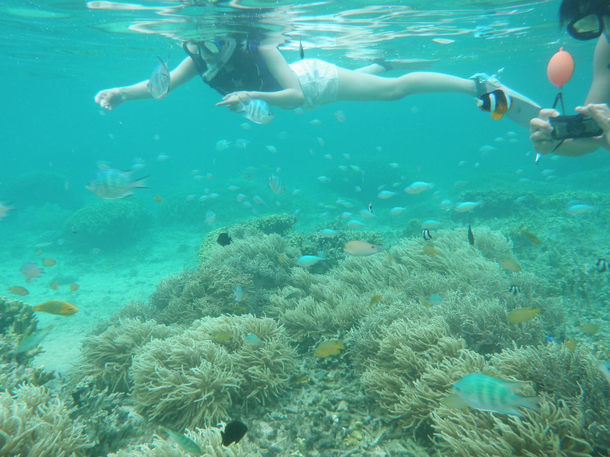 Okinawa Hostel Yanbaru Fukuro Nago Bagian luar foto